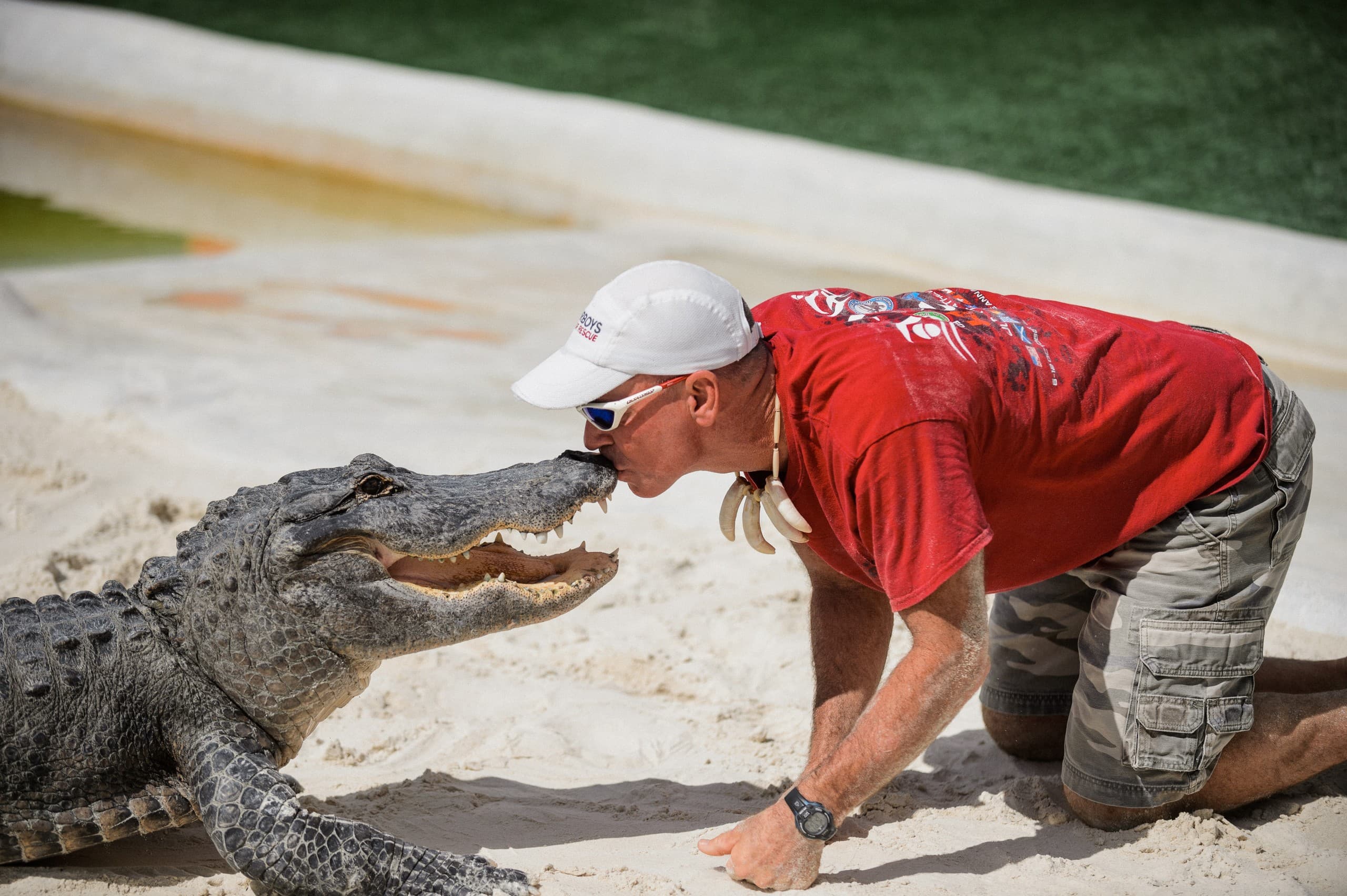 VIP Everglades Airboat Tour from Miami-Dade with Hotel Pickup