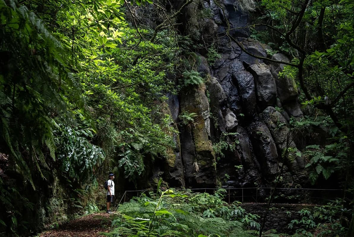 Sustainable Shuttle & Hiking Start with Levadas In & Out