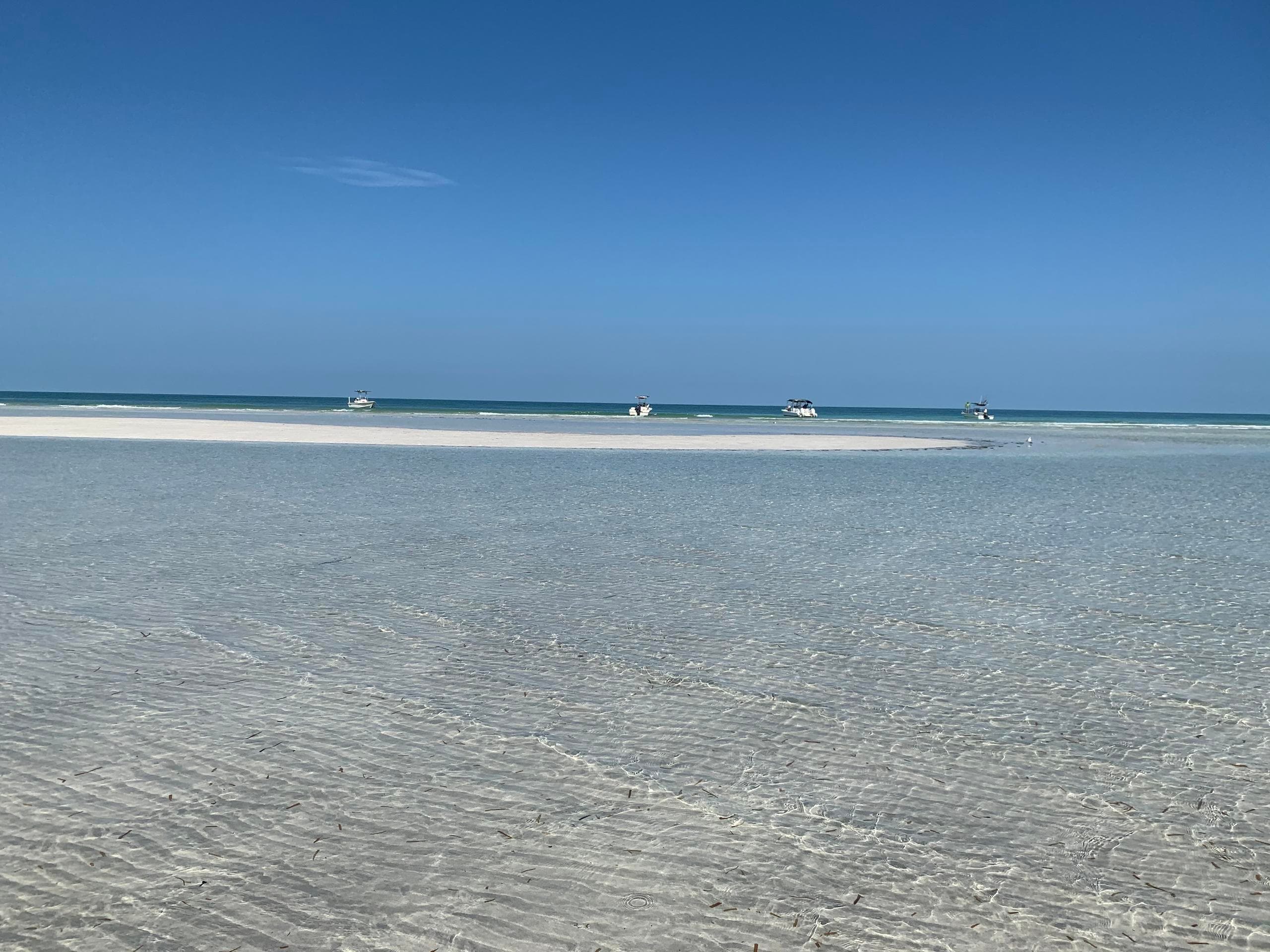 2.5 Hour Sandbar Trip in Key West, Florida
