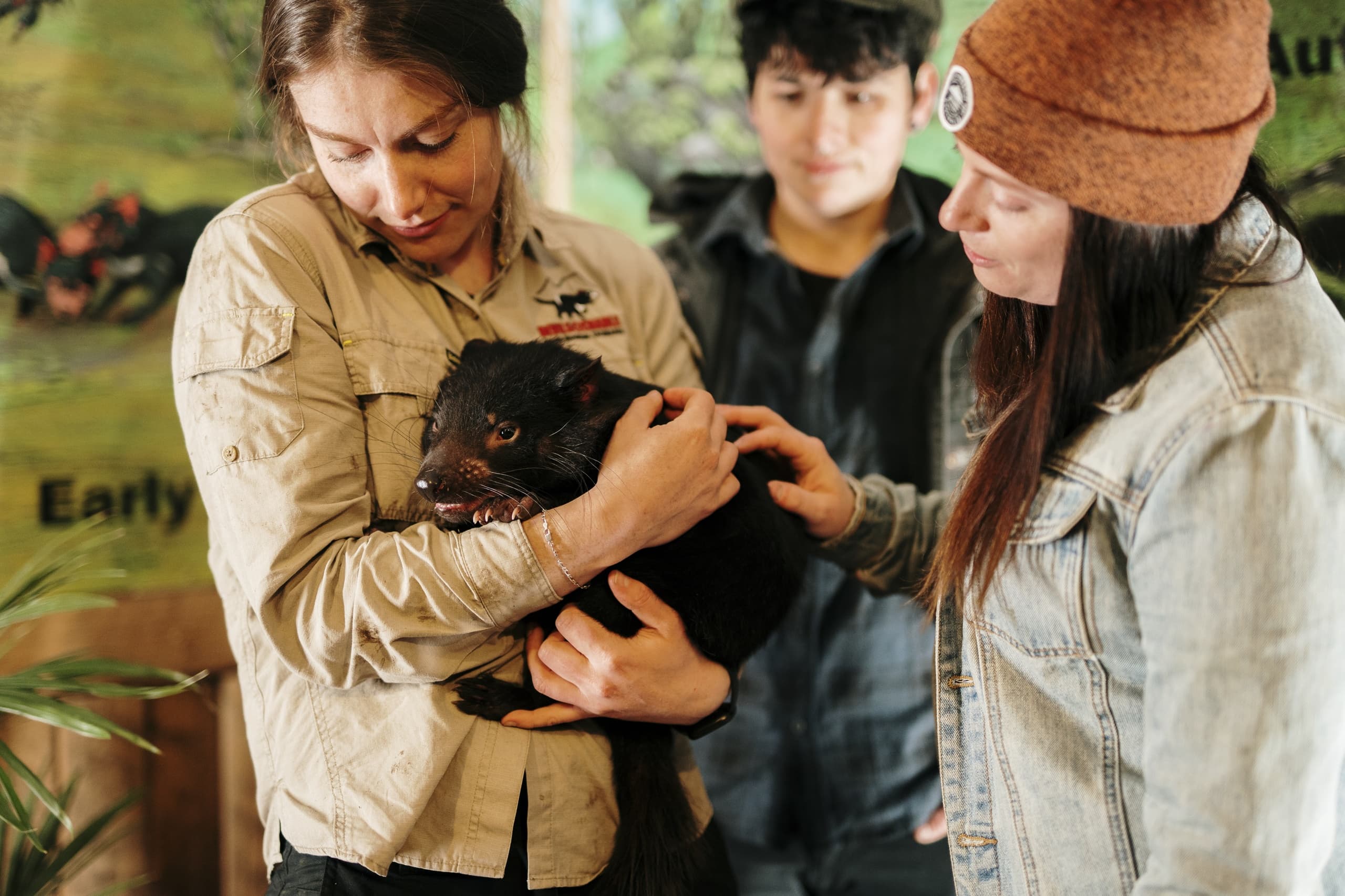Handlers holding Tasmanian devil during wildlife sanctuary encounter