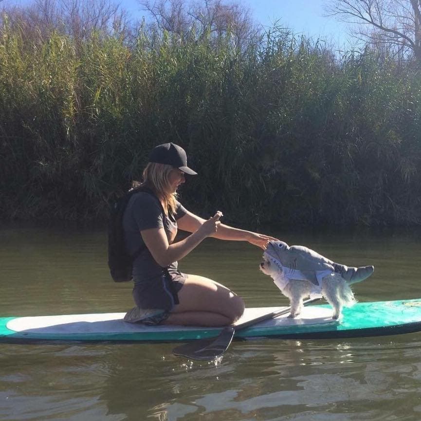 Desert Paddleboards fleet