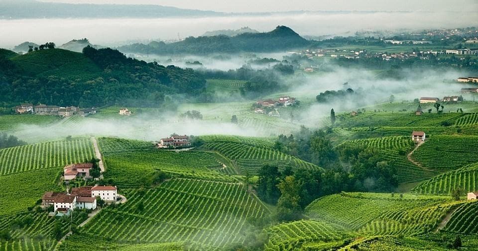 Wine Tasting & Cultural Tour at Franciacorta & Bergamo from Milan