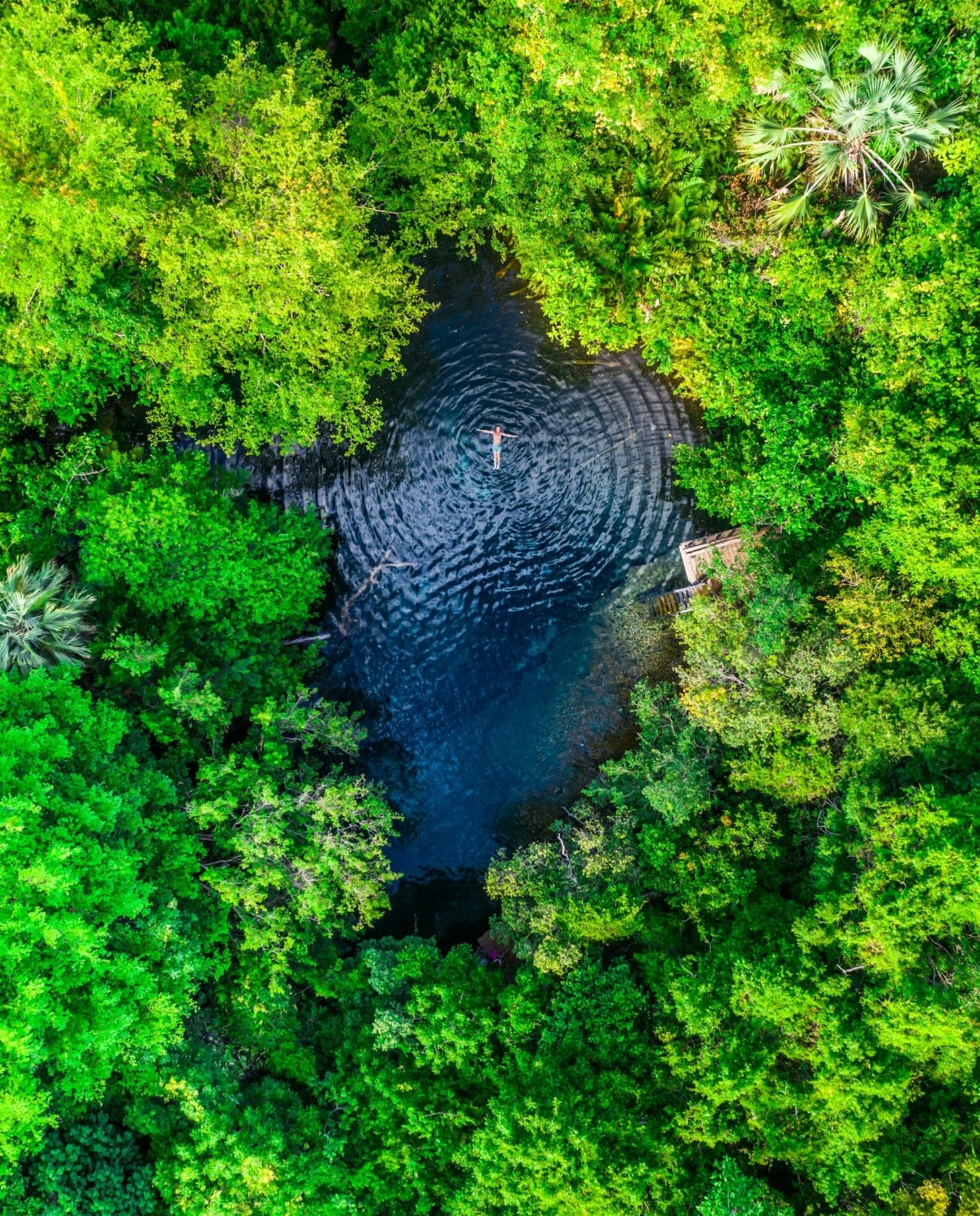Wildlife & Waterways: Tropical Heaven Adventure by Adventures Finder Tours