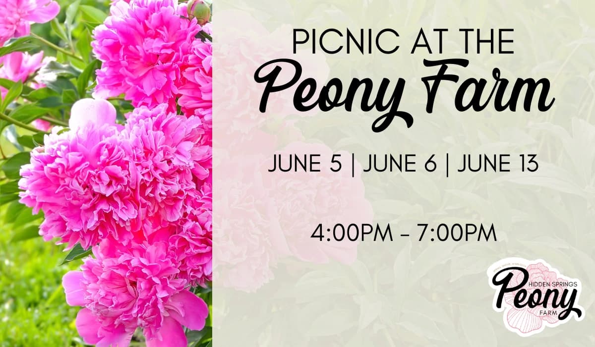 Picnic at the Peony Farm: Summer Peonies, Charcuterie & Live Music in Spring Grove, MN