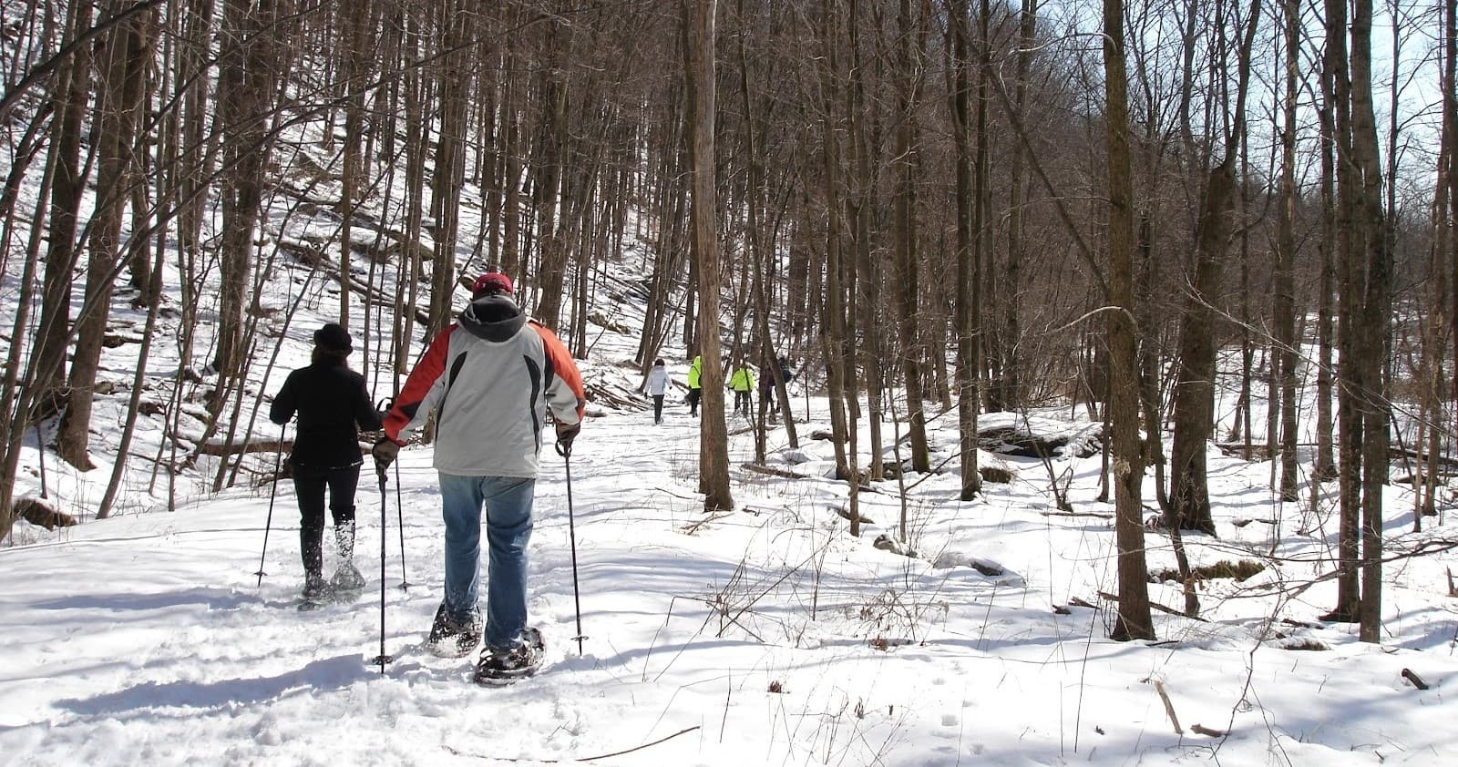 Land Adventures at Northeast Wilderness Experience