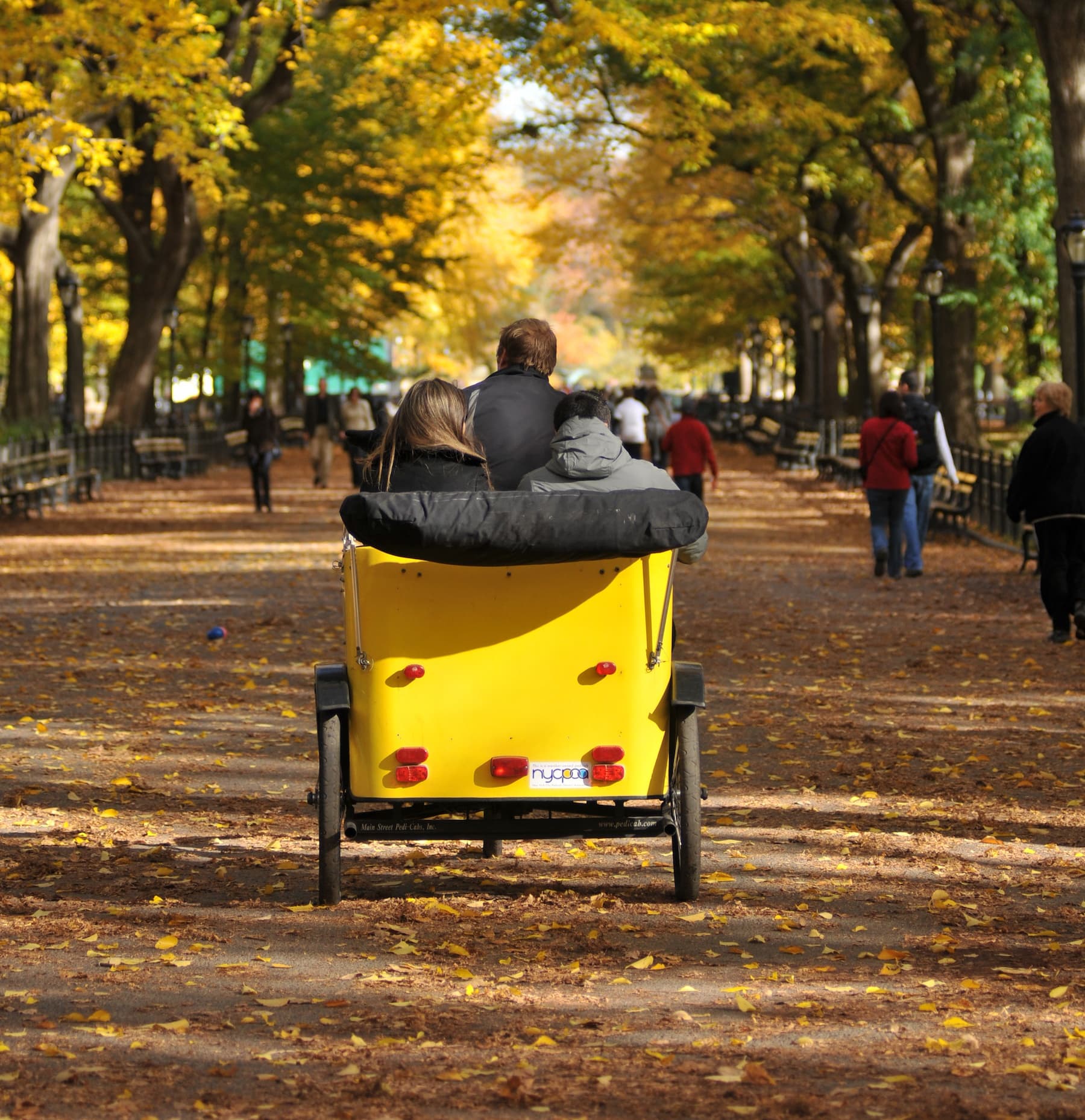 Urban Land Adventure: Central Park Pedicab Experience with Bike Rent NYC