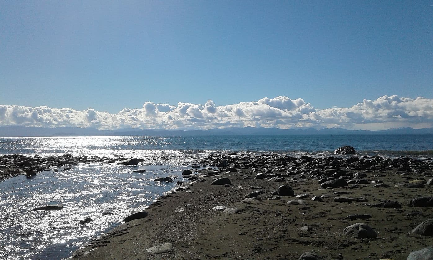 Sooke River Kayak Tours: Fall Bear Watching in BC