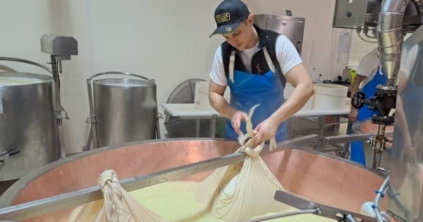 Farm Tours & Cheese Tasting at Parma Guided Dairy