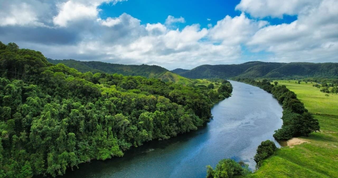 Lower Daintree Rainforest & Wildlife Cruise — Mangrove Channels, Crocodiles & Thornton Peak Views photo 2