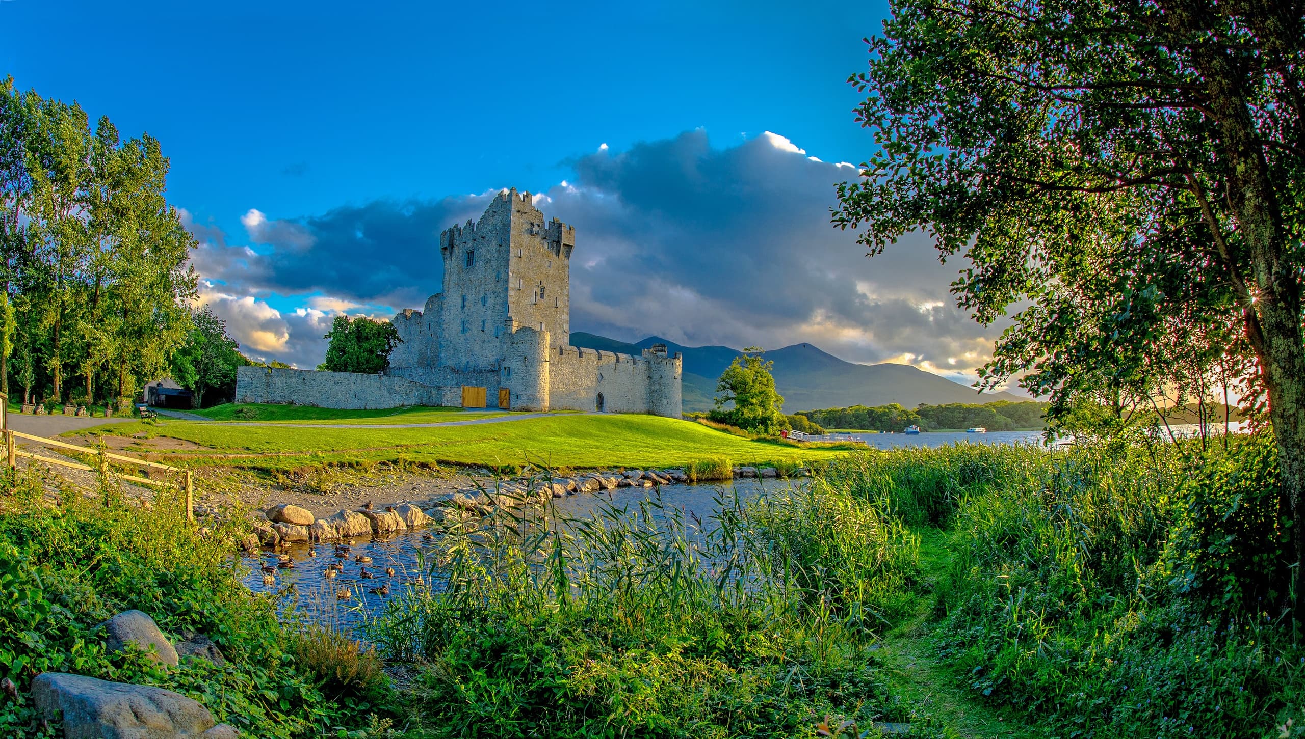 Killarney Private Day Tour with Dingle Slea Head Tours