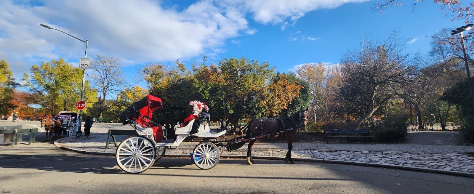 Horse Carriage Adventures with Central Park NYC