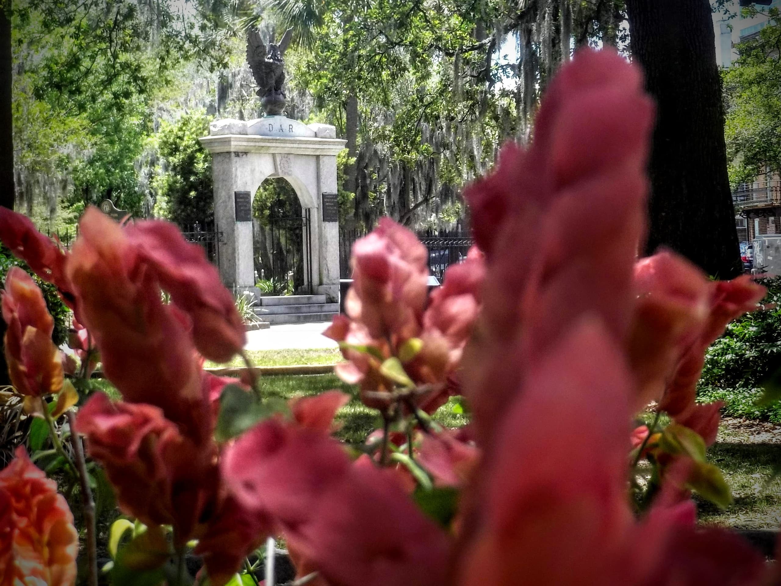 Discover Savannah’s Botanical Wonders: A Two-Hour Guided Walking Tour