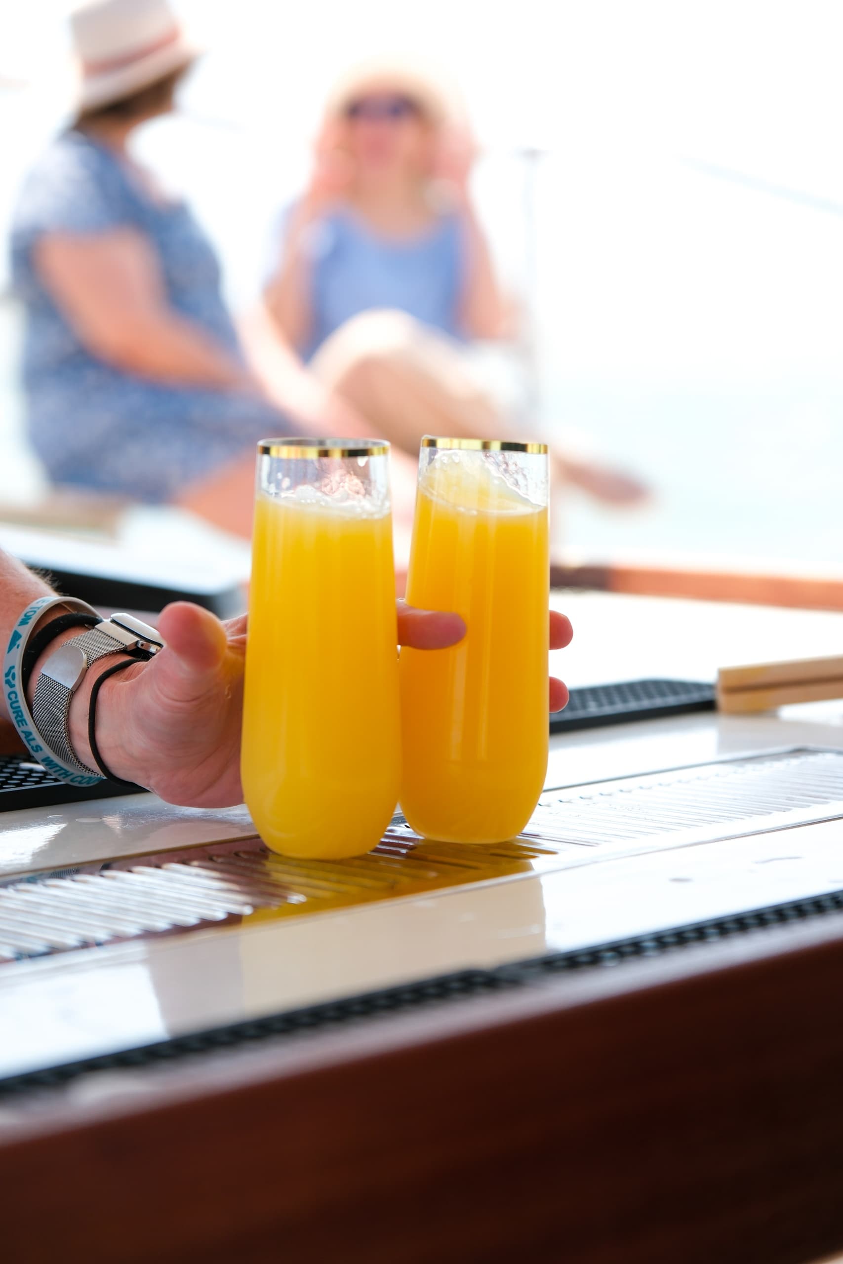 Mimosa Brunch Sail with Palmetto Breeze in Charleston Harbor