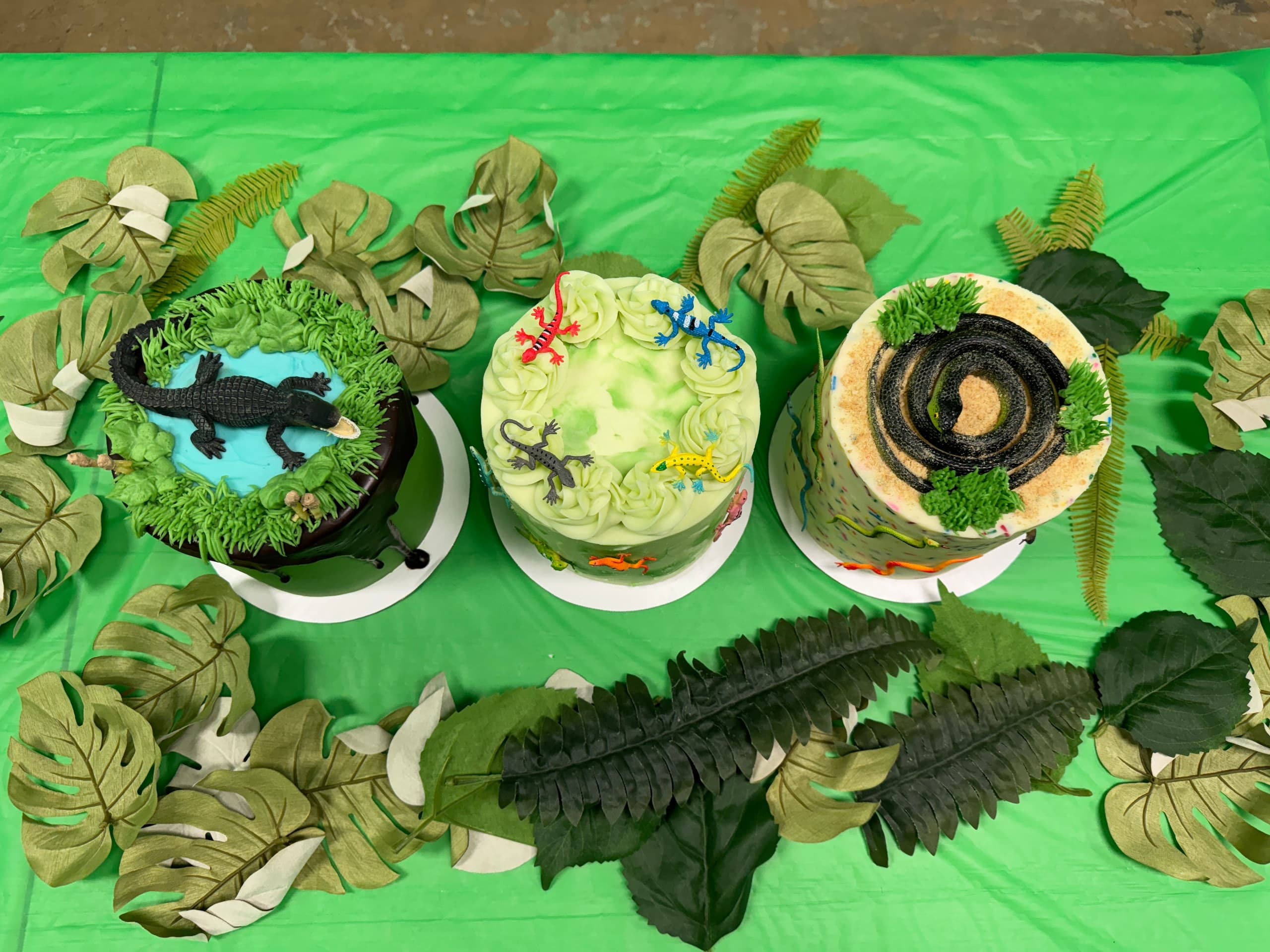 Mega Party Room Package at Scales and Tails Utah Zoo
