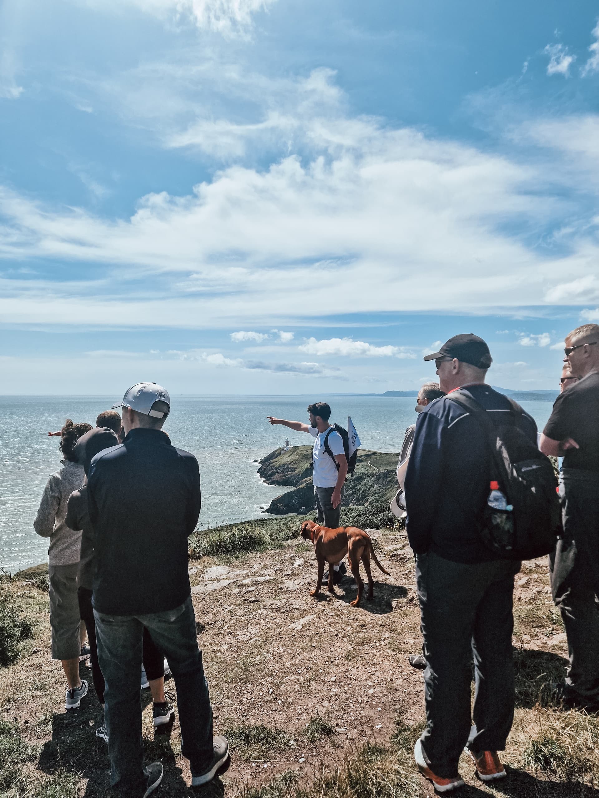 Howth Cliff Path Guided Walk: 90-Minute Coastal Hike from Dublin photo 2
