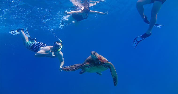 Outdoor Adventure with Aloha Kayaks Maui: The Ultimate Maui Experience in Kihei