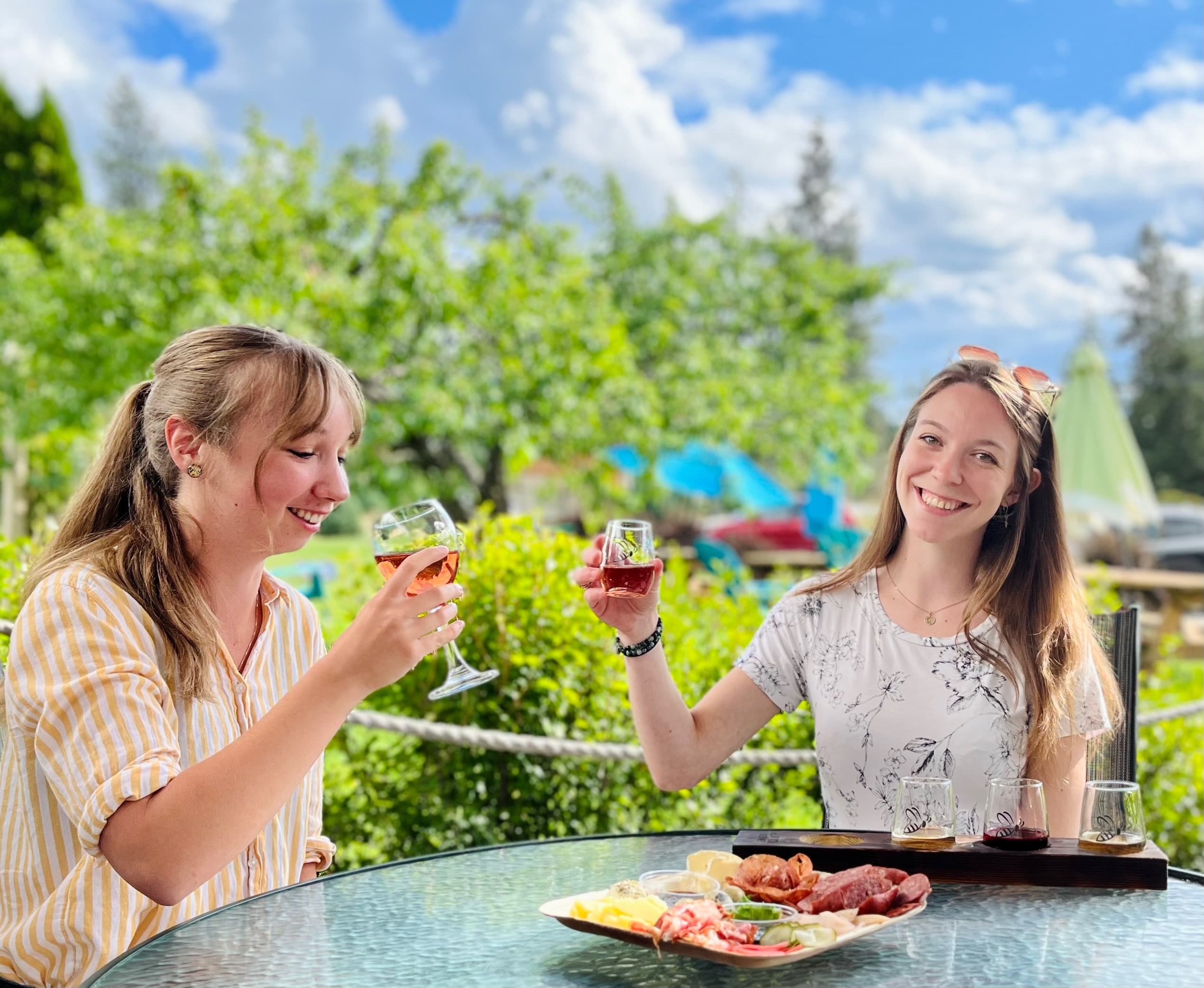 Two friends toasting wine on patio picnic, sunny backyard
