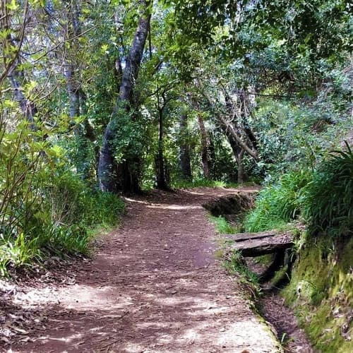 Vale Paraíso - Rochão Walk with Experiences Madeira