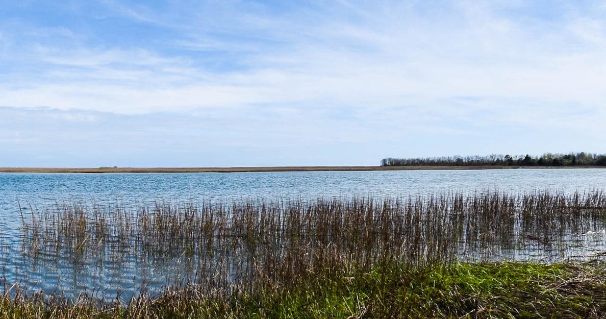 Explore Cat Island: Wando River Kayak Adventure and Fossil Hunting in South Carolina