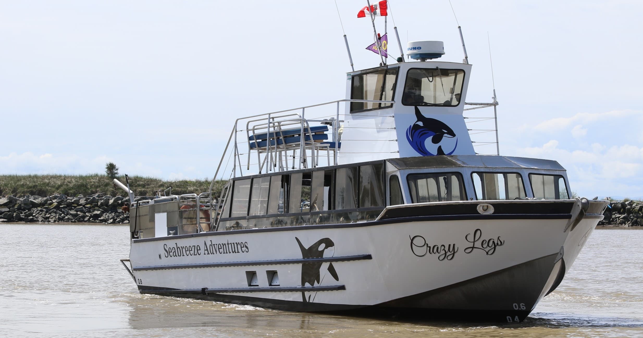 Whale Watching Aboard Seabreeze Adventures in Richmond