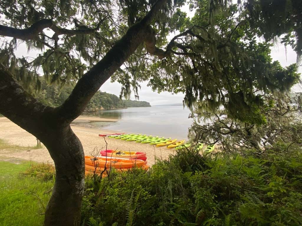 Paddle Heart's Desire Beach: Kayak Tomales Bay Wildlife from Inverness photo 2
