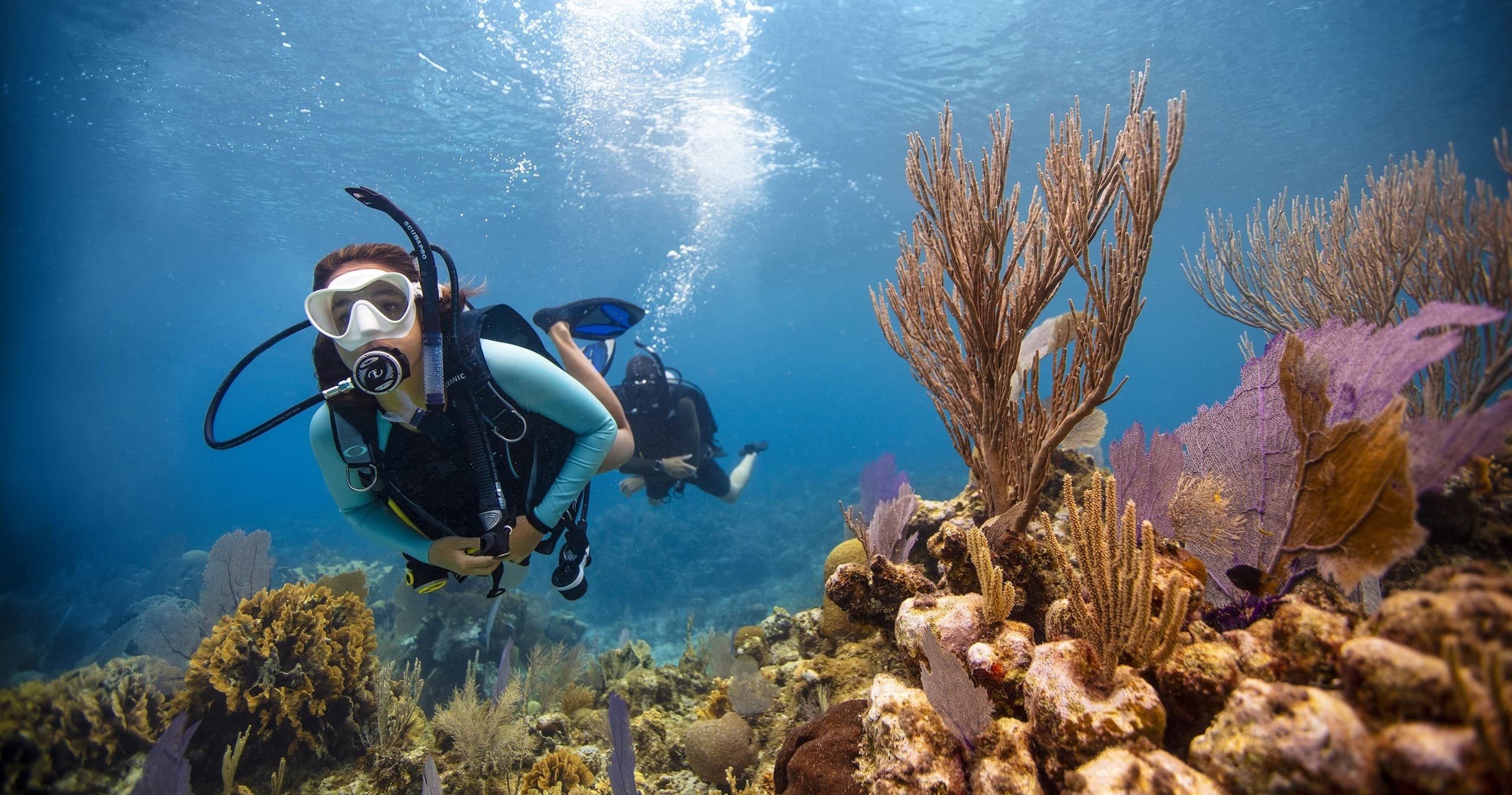 PADI Open Water Diver Course at Long Beach, NSW