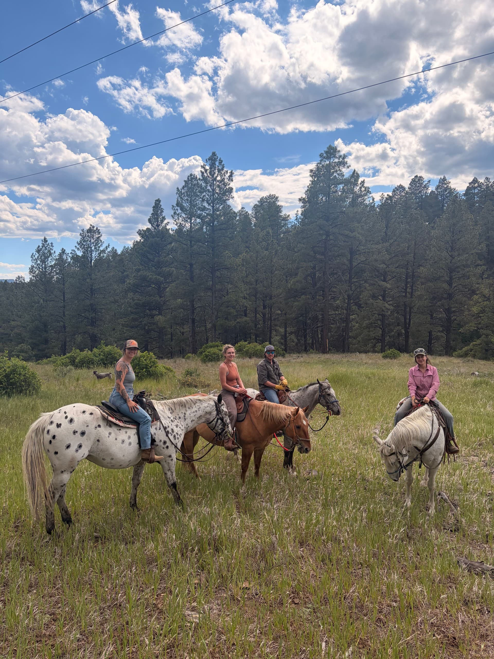 Sunset Horseback Ride in Pagosa Springs: Summer Night Ride at Diamond Hitch Stables photo 1