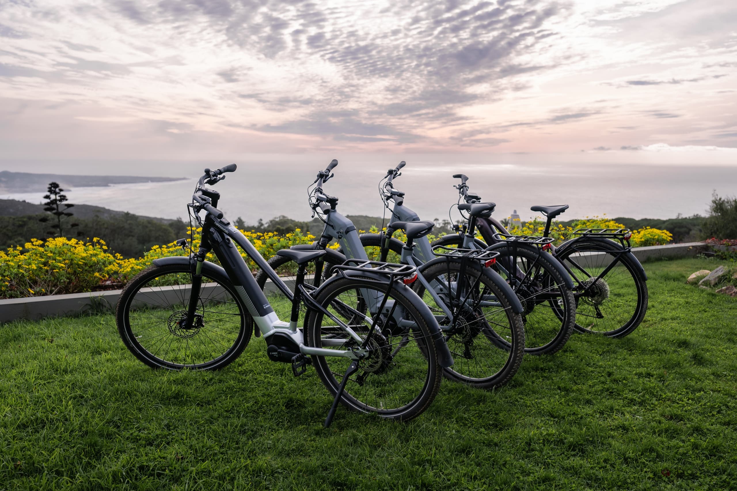 Sintra Coastal Cycling: Bicicleta 24-Hour Ride from Colares