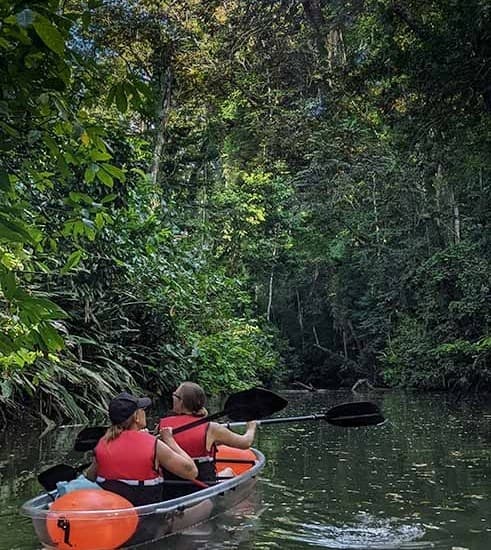 Two kayakers paddling a clear jungle river in guided eco tour