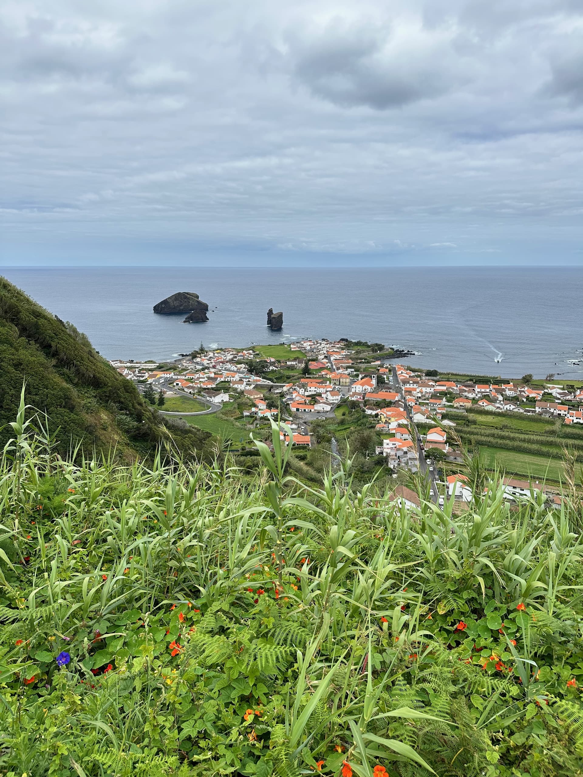 Full Day Private Tour with Safari Azores in Furnas