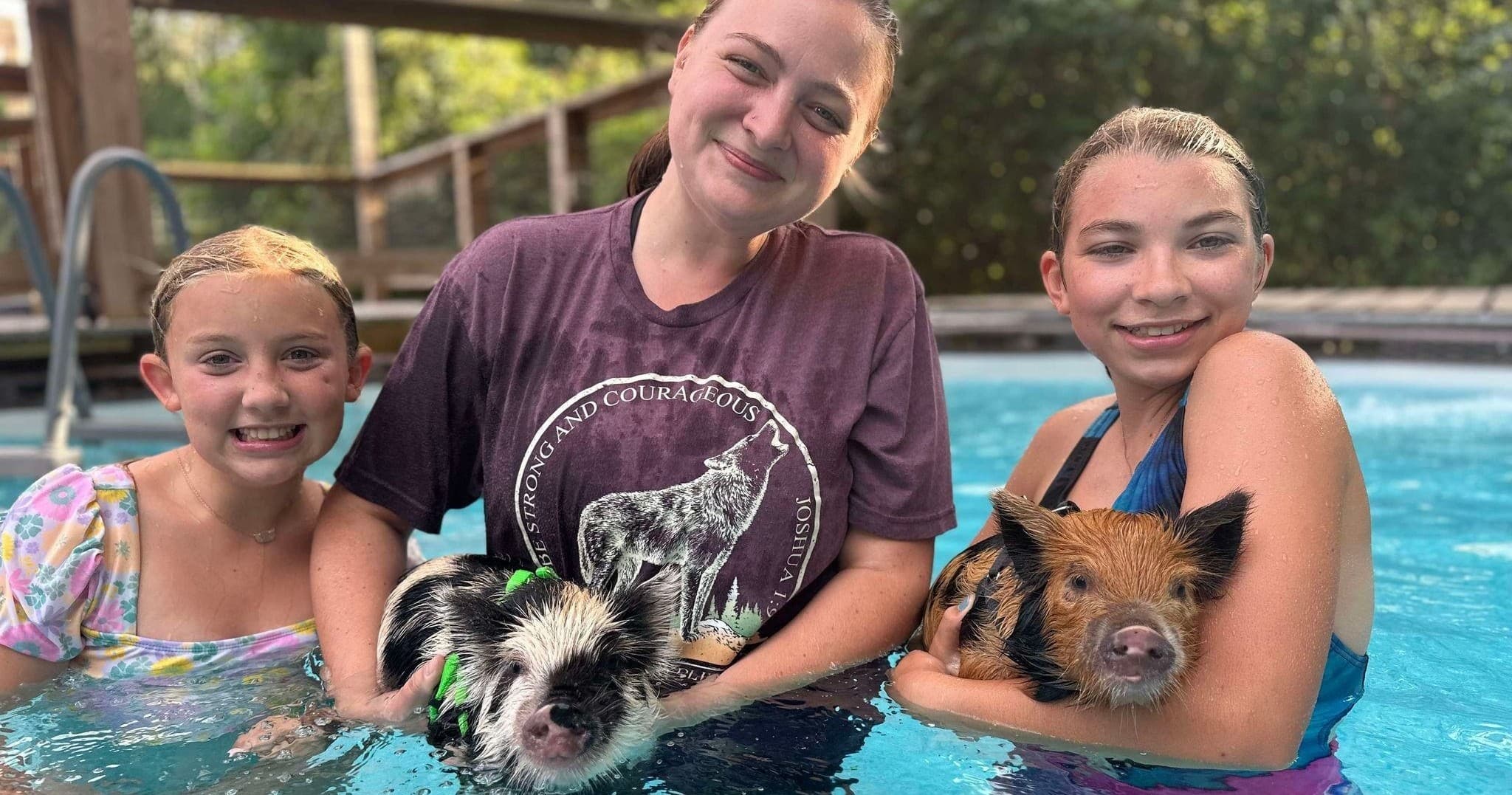 Piggy Splash: Unique Animal Fun in Cleveland, GA
