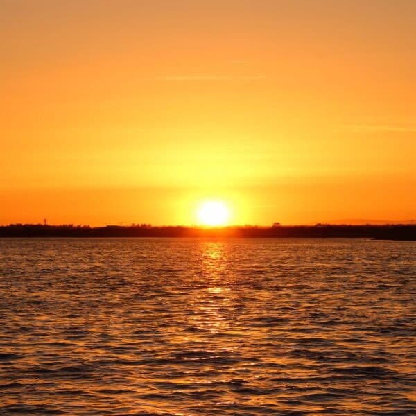 Private Sunset Boat Trip in Faro Ria Formosa — Romantic 1.5-Hour Charter photo 1