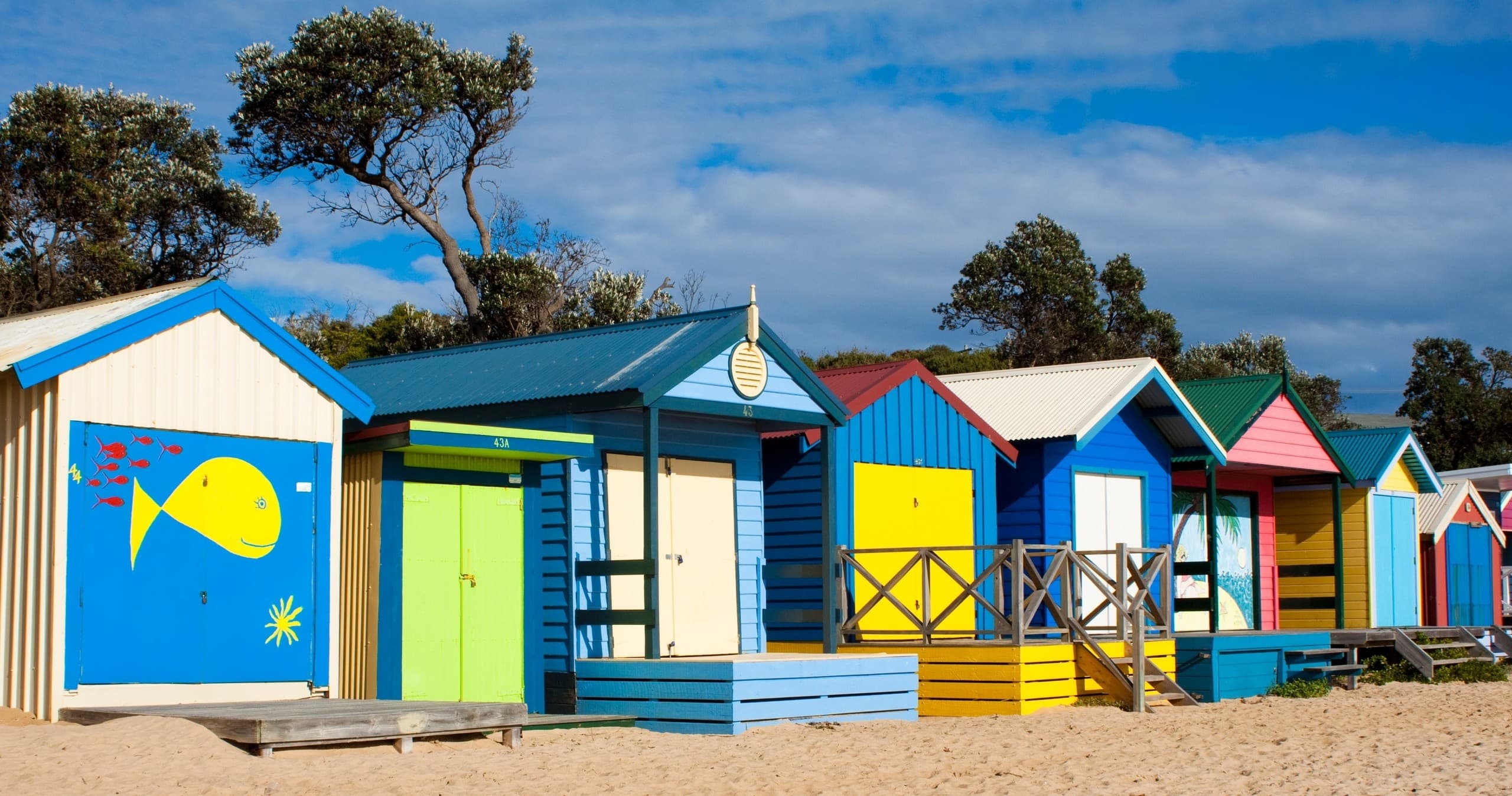 Wildlife & Coastal Tour at Phillip Island by Wine Hop And Coastal Tours