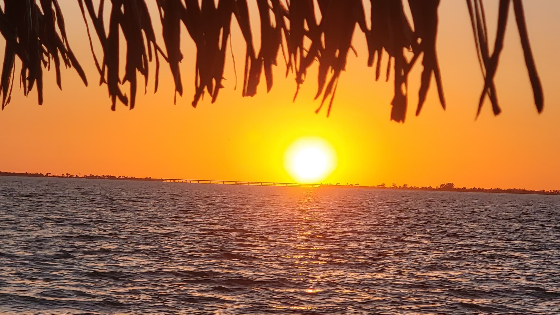 Sunset Waterways Tour with Lei'd Back Tiki Tours in Fort Myers Beach