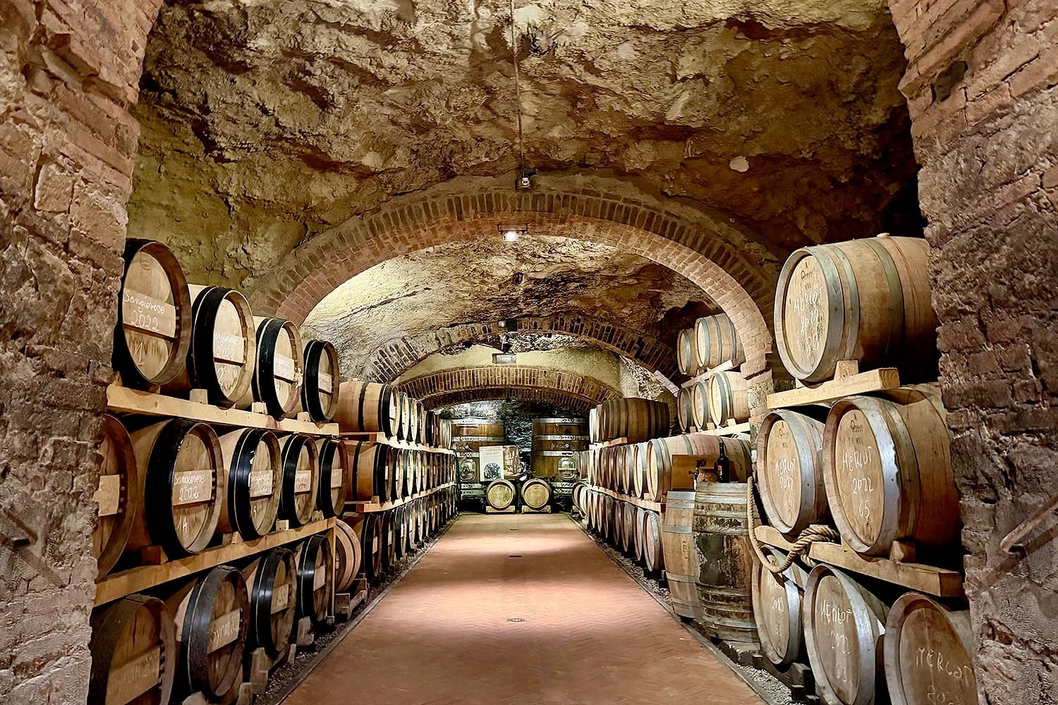 Truffle Hunting and Wine Tasting Experience in Sant'Appiano, Tuscany