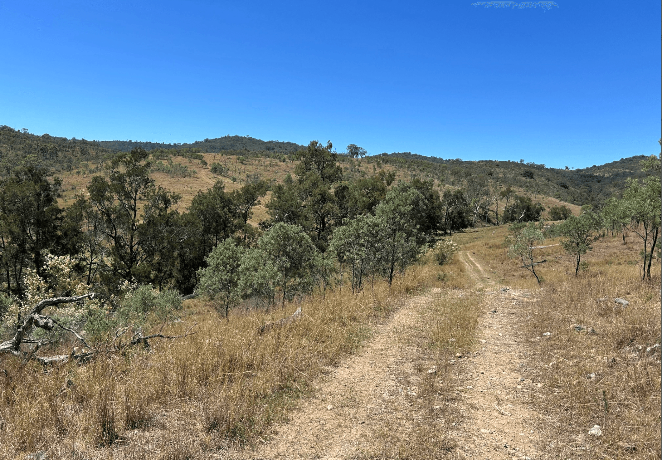 Remote dirt track through rolling hills for 4WD adventures