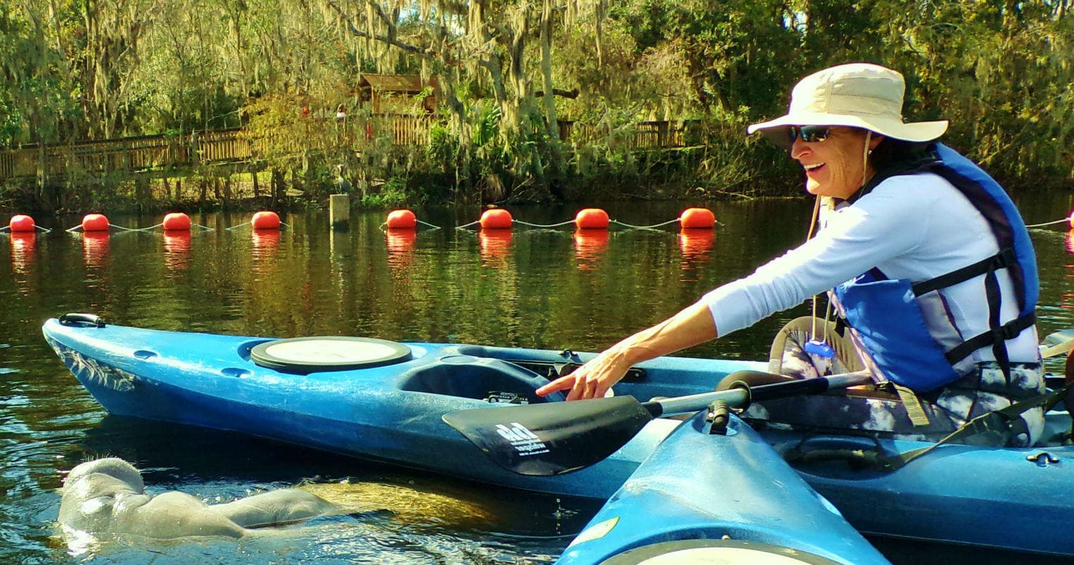Wildlife & Water Adventures: Manatee Tours at Blue Springs