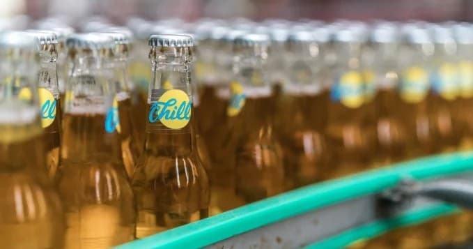 Bottled beer on brewery bottling line, indoor production and packaging
