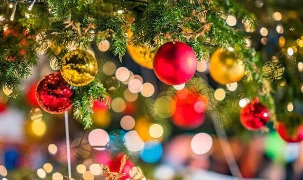 Festive Two-Hour Christmas Light Tour in Phoenix Valley