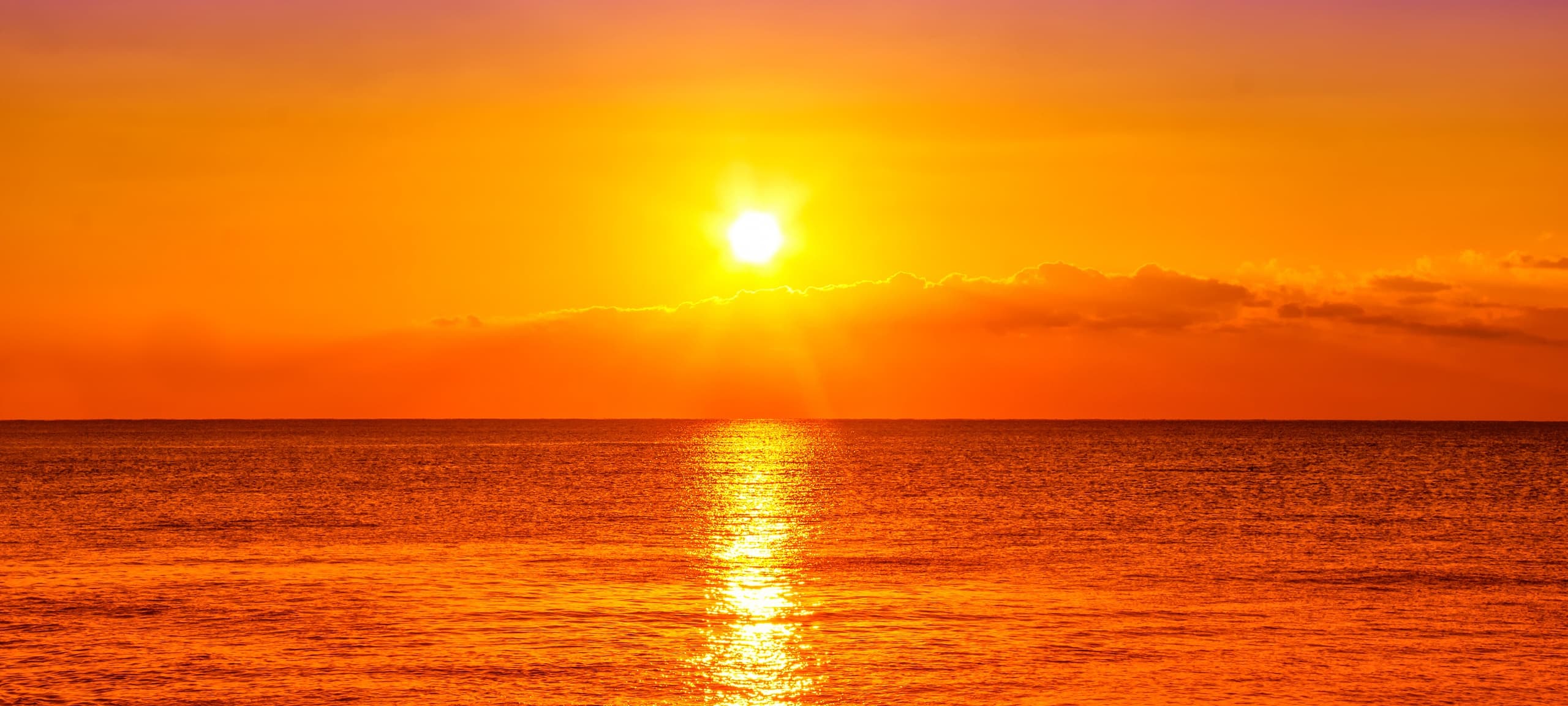 Water Activities & North Shore Sailing Adventures: Sunset Escape on Oahu