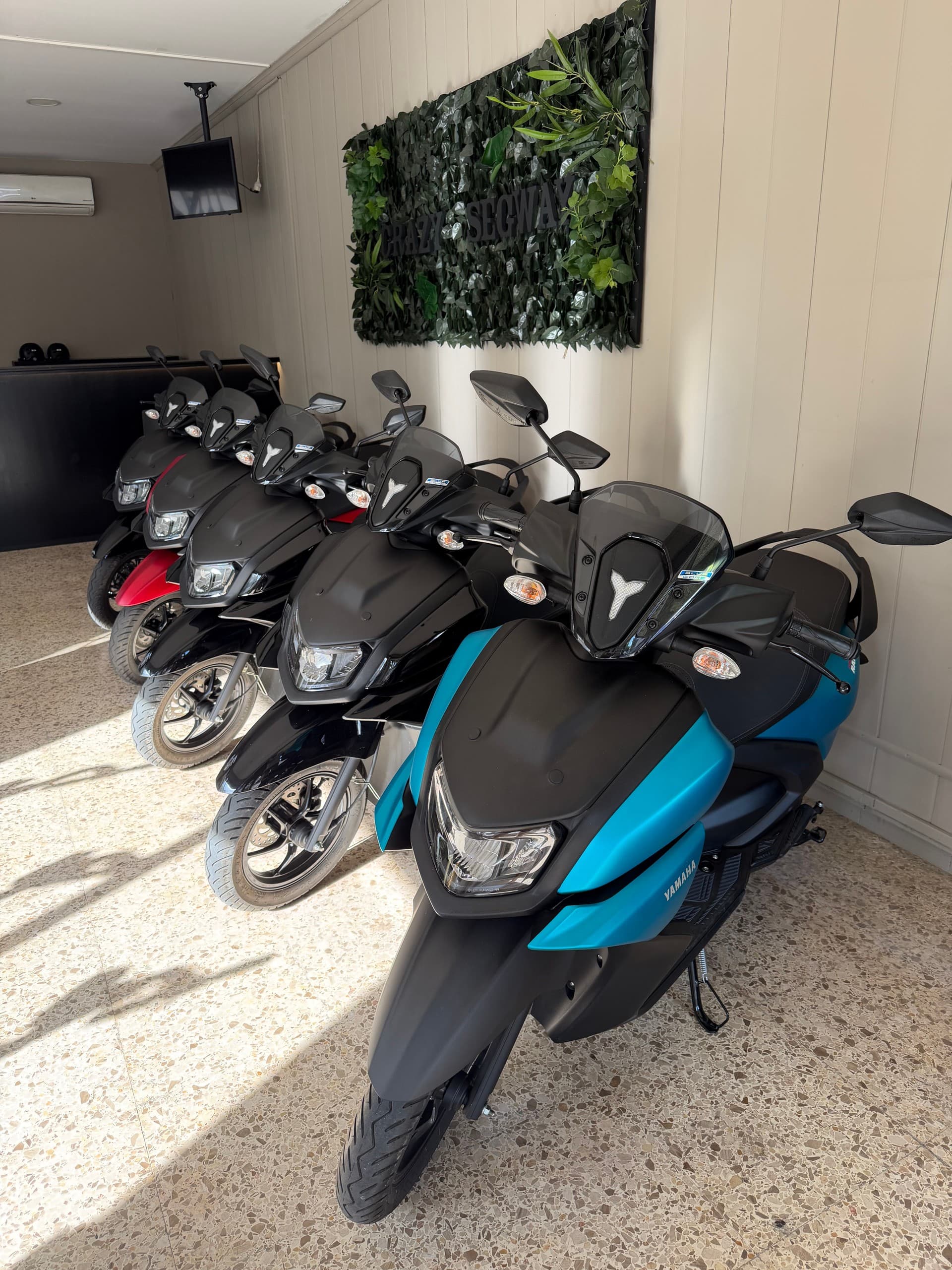 Row of rental scooters stored indoors in bright rental showroom