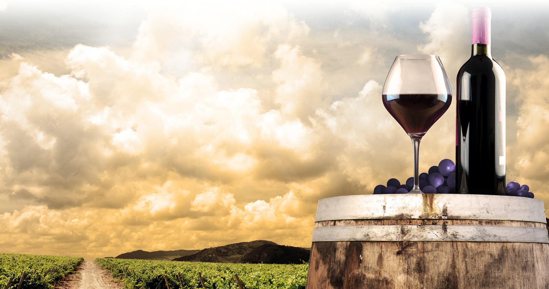 Wine tasting on barrel overlooking vineyard and dramatic sky