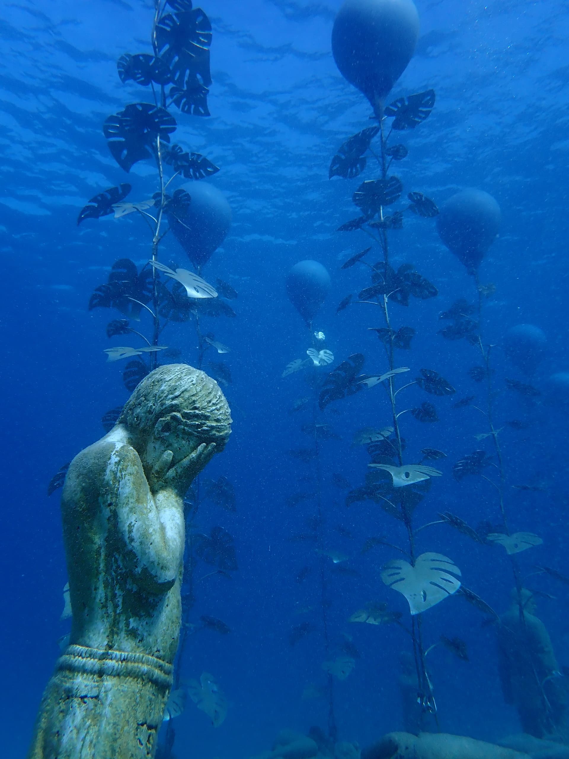 Beginner Dives at MUSAN: Two-Shallow-Water Scuba Adventures from Protaras photo 1
