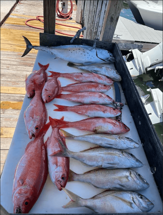 Fishing Trip with Snap Em Up Charters in Islamorada