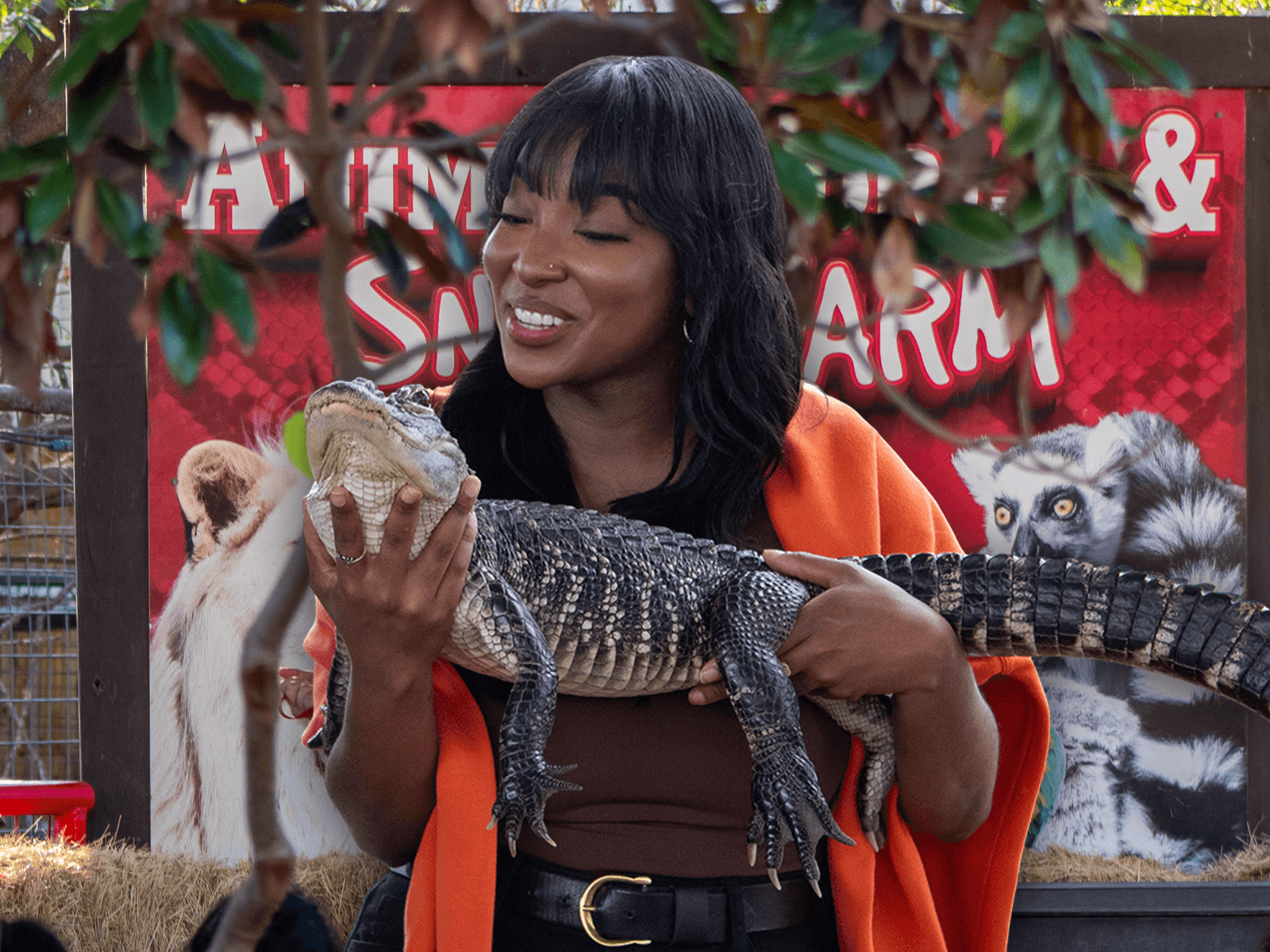 Private Alligator Animal Encounter in New Braunfels, TX