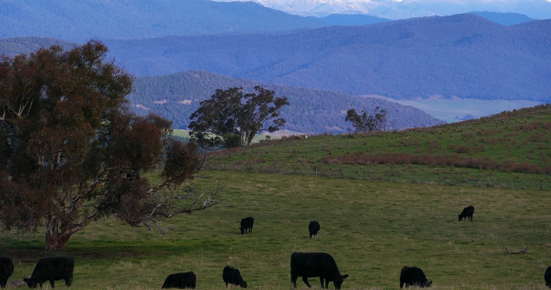 Land Adventures with UNLOCK THE LANDSCAPE in Snowy Mountains