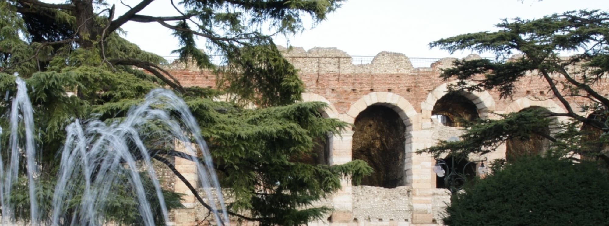 Verona Tours fleet