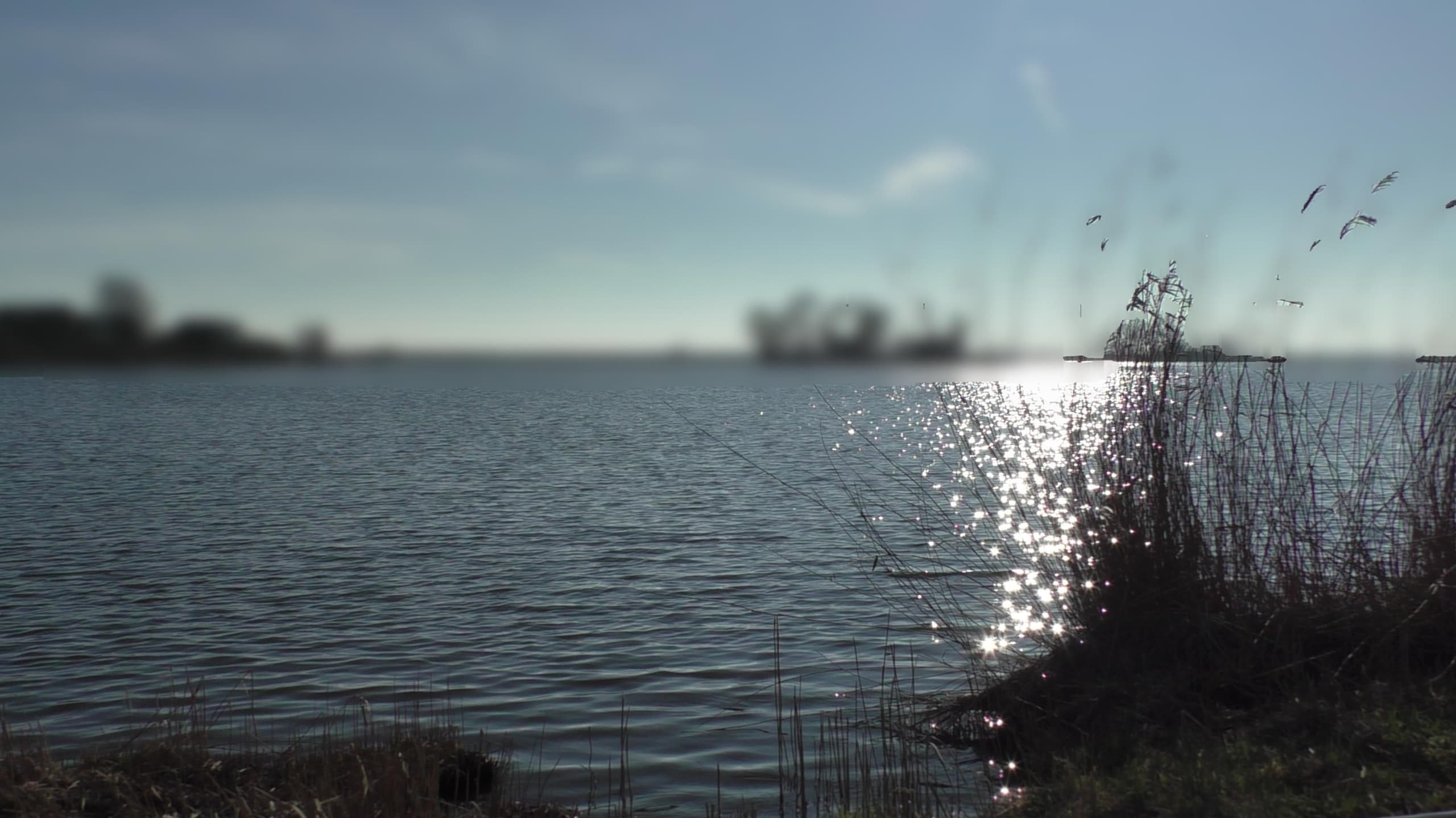 Sail the Historic VOC Route: Day Trip from Amsterdam to Holysloot & Markermeer