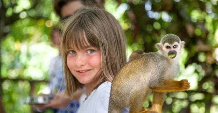 Monkeyland & Plantation Tour in Punta Cana by BestDRExcursions