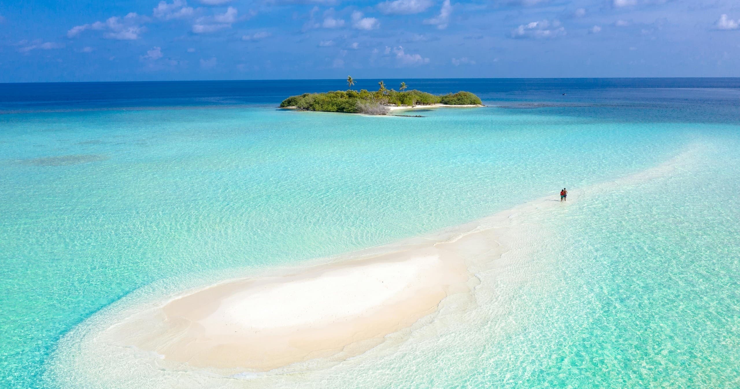 Sea Fox 4 Hour Sandbar Excursion in Stock Island, FL